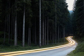Road with car lights in the woods