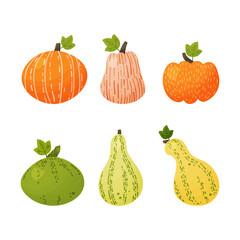 Set of vector multi-colored pumpkins for the holiday.
