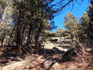 Mountain Hike In The Flatirons Through The Pines