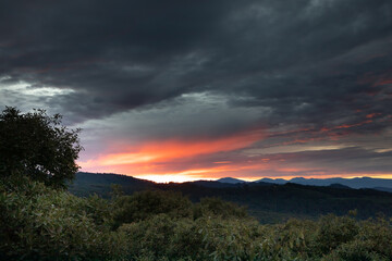 Paisaje amanecer o atardecer Huerta de Aguacate / Palta.