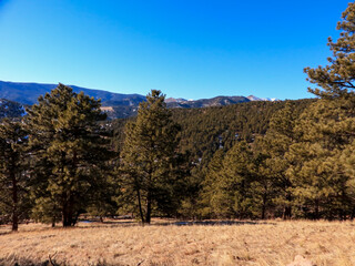 Mountain Hike In The Flatirons 