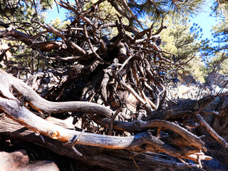 Mountain Hike In The Flatirons 