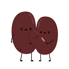 Kidney bean character. Kidney bean on white background.