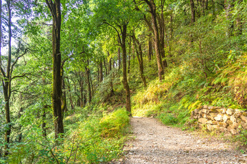 View at Nainital of the Kumaon region, Uttrakhand.