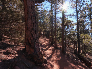 Mountain Hike In The Flatirons 