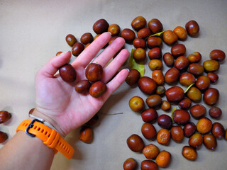 A girl holds a Chinese date (ziziphus) in her hand. A sweet and healthy berry for the older generation 
because it reduces blood pressure.