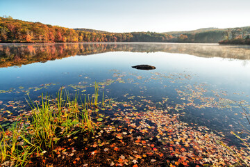 Harriman State Park in autumn