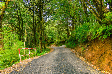 View enroute to Zero point, Binsar trekking trail which offers splendid view of Himalayas of the...