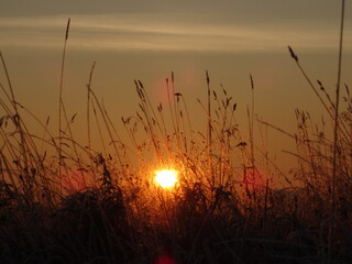 Fototapeta premium sunrise