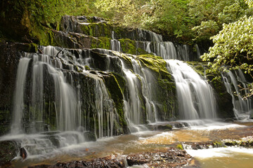 Fototapeta premium Purakaunui Falls in Otago New Zealnd