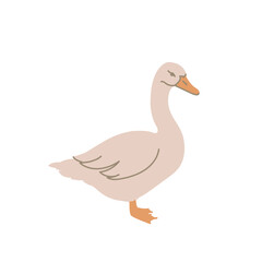 Goose in colored flat style. For logo, icons, emblems, template, badges. Vector illustration