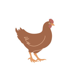 Chicken in colored flat style. For logo, icons, emblems, template, badges. Vector illustration