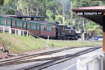 Obraz premium 26 January 2016: Belgrave is a suburb in Melbourne, Victoria, Australia; 26 January 2016: Belgrave is a suburb in Melbourne, Victoria, Australia;