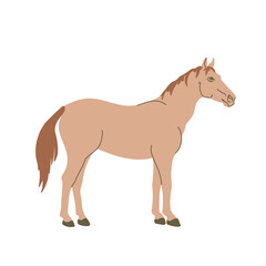 Horse in colored flat style. For logo, icons, emblems, template, badges. Vector illustration