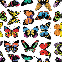 Seamless pattern of various drawn colorful butterflies