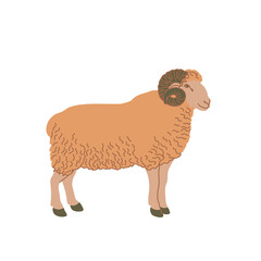 Ram in colored flat style. For logo, icons, emblems, template, badges. Vector illustration