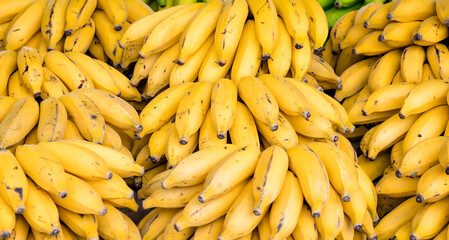 Bananas 