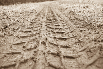 Spuren im Feldweg