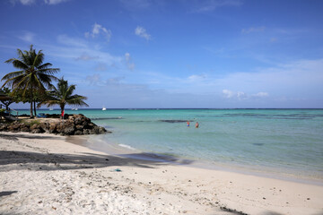 Fototapeta na wymiar Traumhafter karibischer Strand (Tobago)