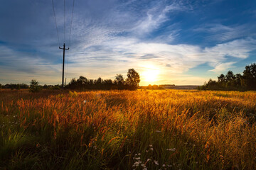 Fototapeta na wymiar Summer golden sunny sunrise in the field.