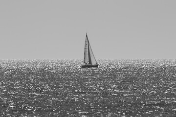 sailboat on the sea