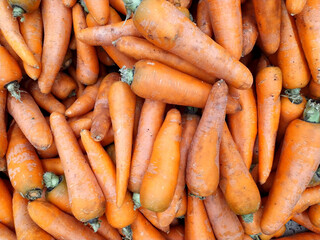 Carrots. Close-up. Food. Vegetables. A textured background of fresh large orange carrots. Background. Carrots peeled, clean. Takes up the whole frame. Vitamins. The view from the top