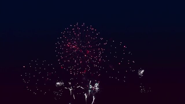 Bright colored fireworks in the night sky.