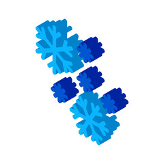 snow flakes icon vector. isometric snow flakes sign. color isolated symbol illustration