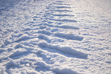 Car track in fresh snow