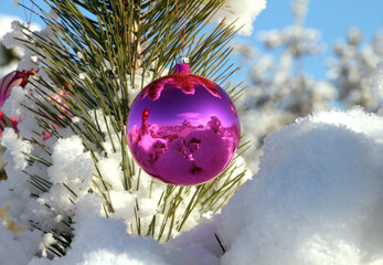 Christmas decoration with winter views of nature