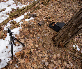 Working photography in the woods.