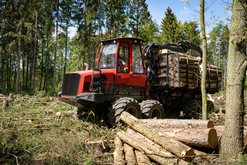 Borkenkäfer - Waldsterben, Vorwarder räumt gefälltes Fichtenholz aus dem Wald.  Forsttechnisches Symbolfoto.