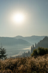 Naklejka na ściany i meble Beautiful sunrise in mountains with white fog below panorama