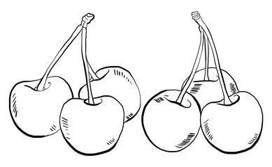 Hand Drawn Cherries Vector Illustrations