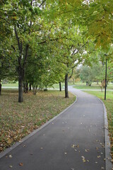 Path in a summer park in Moscow