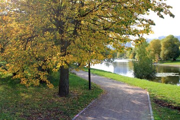 Naklejka premium Autumn park with yellow foliage
