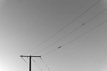 Poste de telefono en Galicia