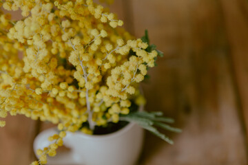 branch of yellow mimosa in cup on background of boards