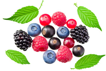 mix of blueberry, blackberry, cranberry, raspberry with leaves isolated on white background. top view