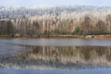 Panorama of a forest with peaks covered with hoarfrost, partly illuminated by the sun with reflection in the water surface of a partially frozen lake, Brdy Protected Landscape Area (CHKO Brdy)