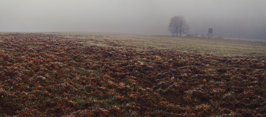 autumn landscape in the fog, field, hunting blind, trees, field plowed by wild boars