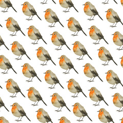Seamless pattern Robin bird on white background. Watercolor hand drawing illustration. Wet style aquarelle. Cute winter grey and orange bird. Perfect for digital paper, wallpaper, print.