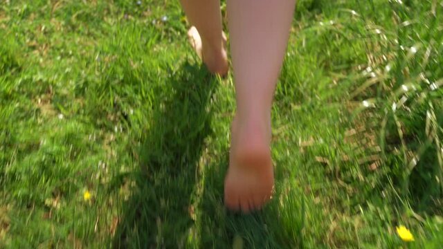 Close-up girl bare feet walks on the green grass