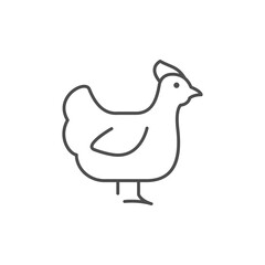 Chicken line icon or poultry concept