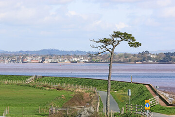 River Exe estuary in Devon