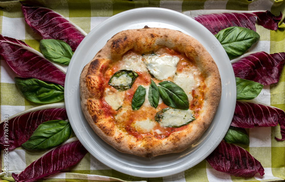 Wall mural margherita pizza with tomato, mozzarella and basil. Top view on background of basil leaves and radicchio red