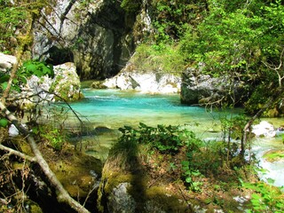 Naklejka premium Turquoise Kamniska Bistrica river in Slovenia
