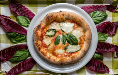 margherita pizza with tomato, mozzarella and basil. Top view on background of basil leaves and radicchio red