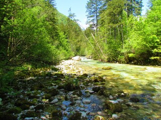 beautiful Kamniska Bistrica river in Slovenia