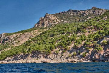 Fototapety na wymiar - Fototapeta24.pl